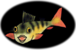Ahven logo - picture of perch